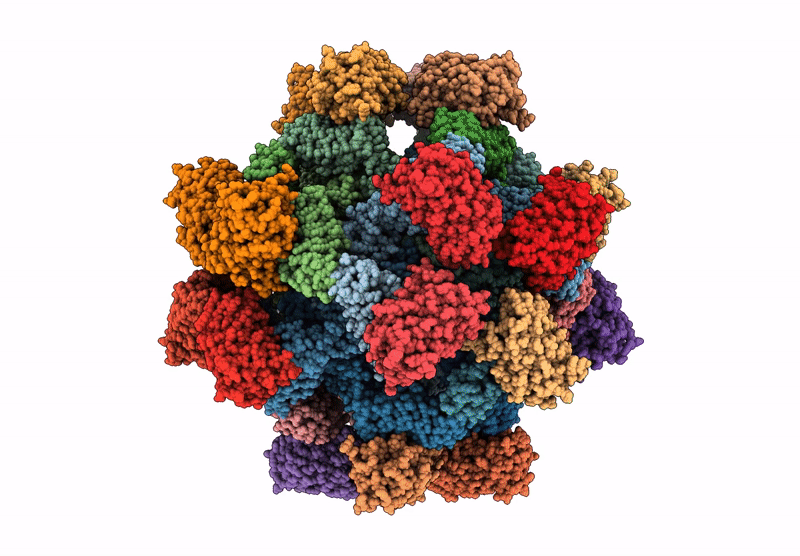 9J48 image