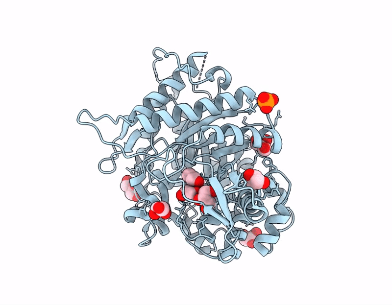 9J49 image