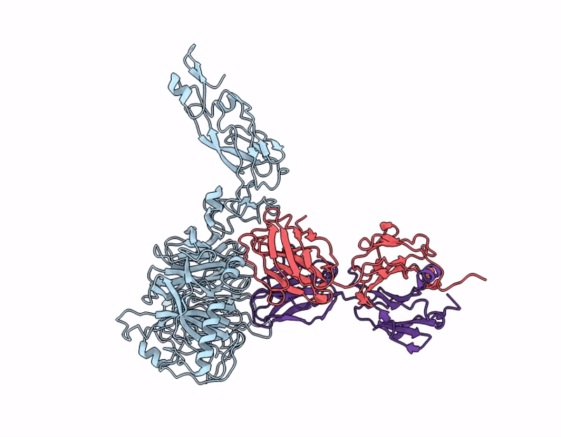 9J4C image
