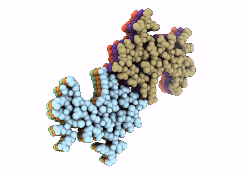 9J4E image