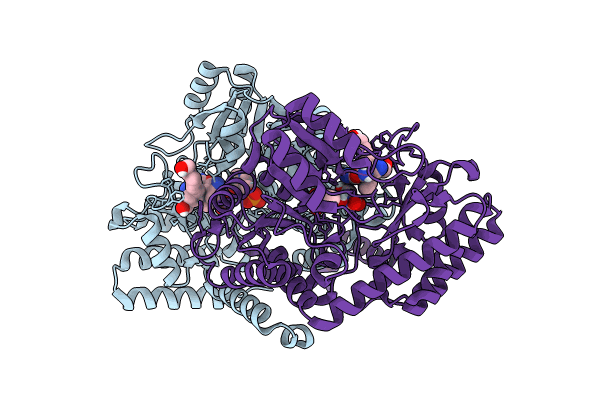 9J4G image