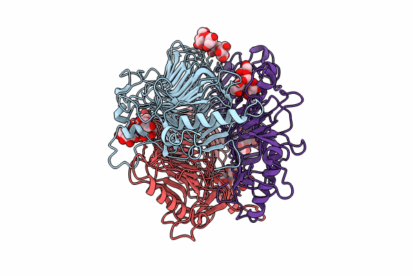 9J4J image