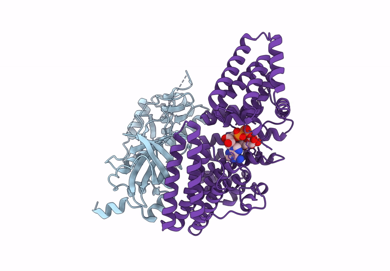 9J4P image