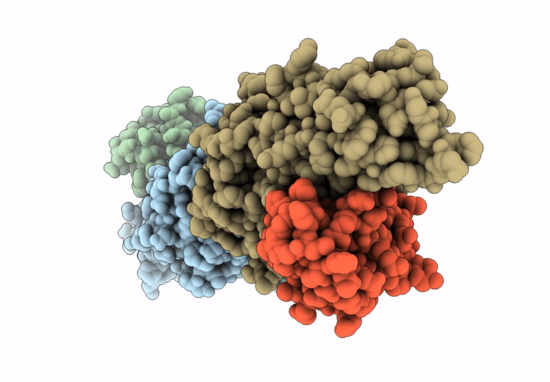 9J4V image