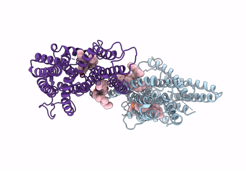 9J4X image