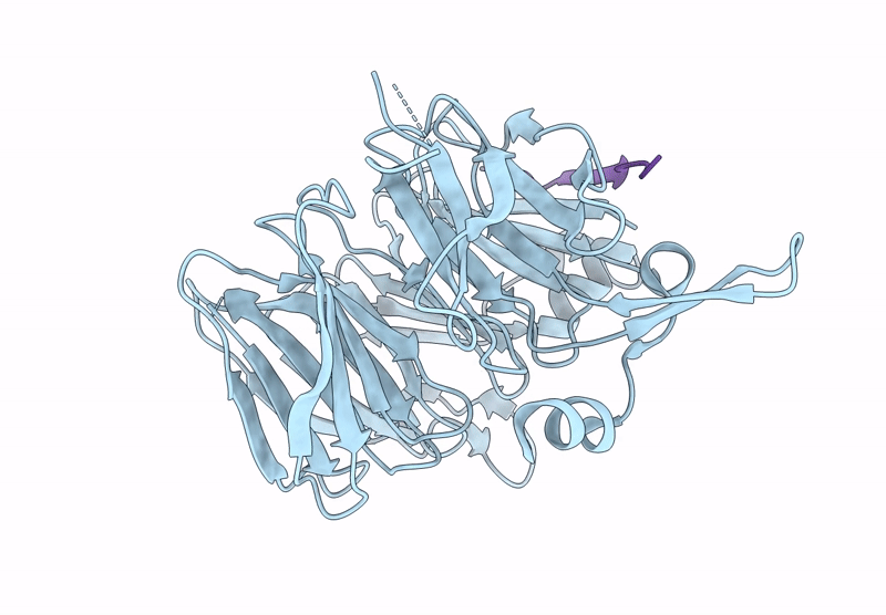 9J5E image