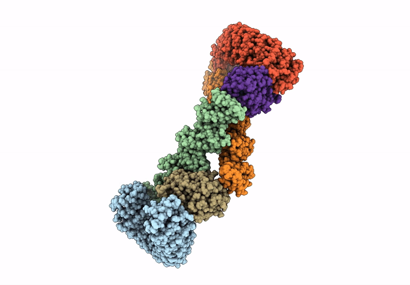 9J5I image