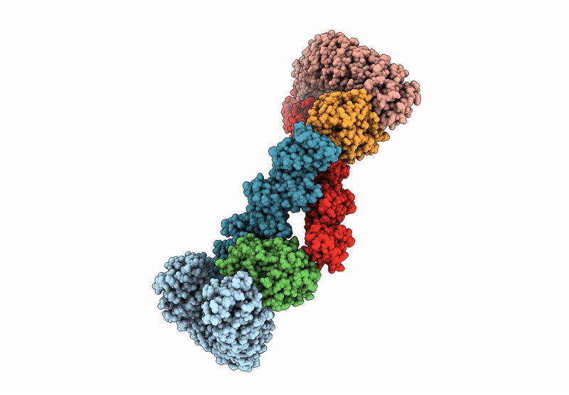 9J5K image