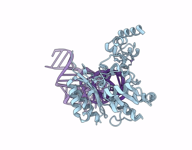 9J5O image