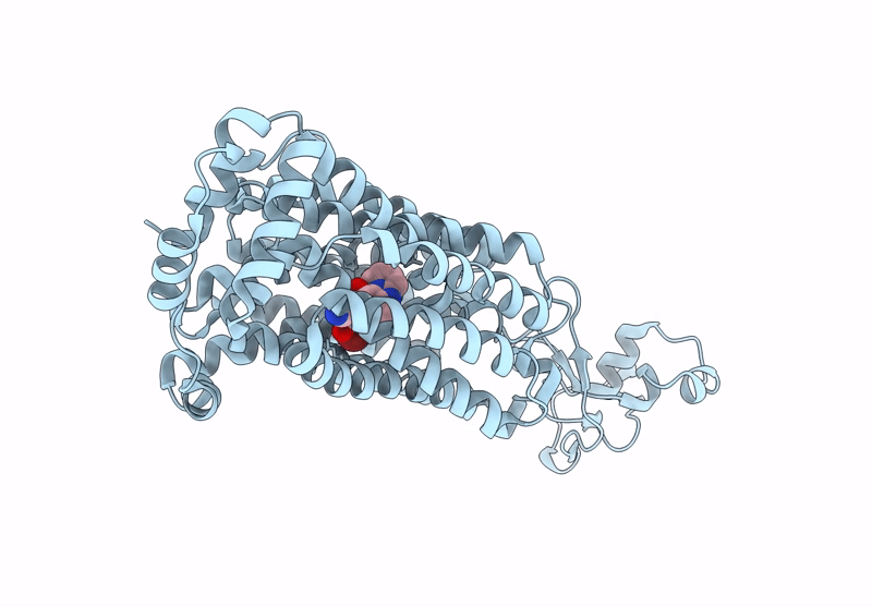 9J5X image