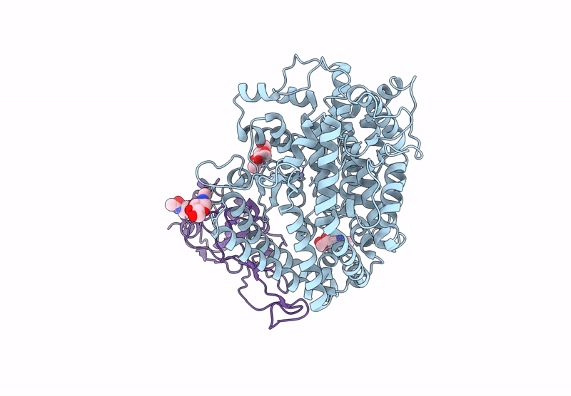 9J62 image