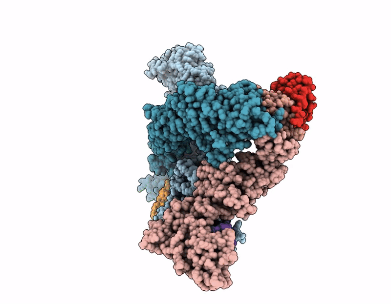 9J64 image