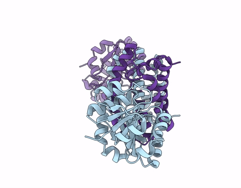 9J67 image