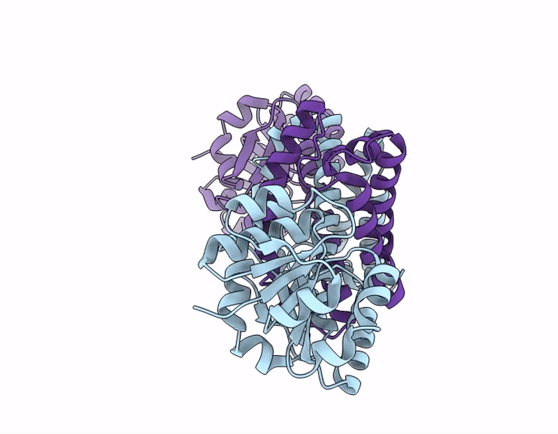 9J6C image