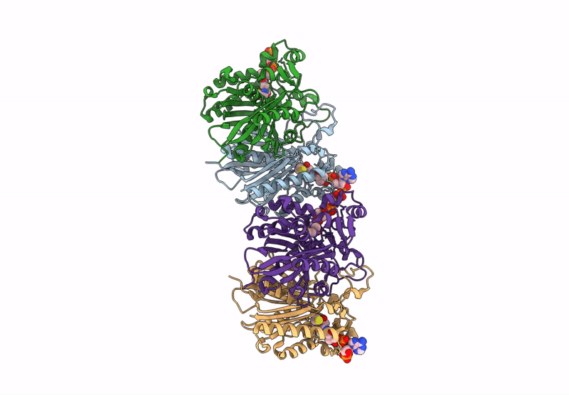 9J6E image