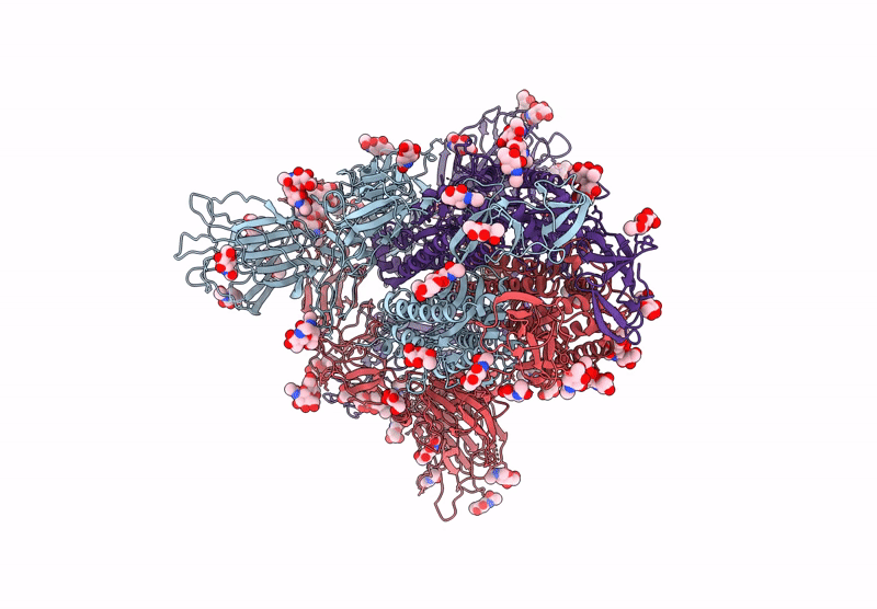 9J6G image