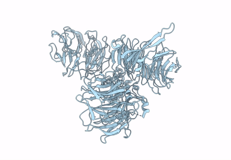 9J6J image