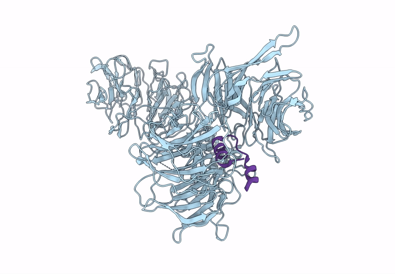 9J6K image