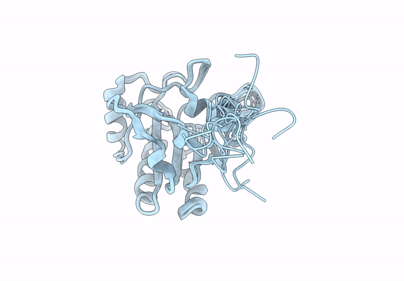 9J6L image