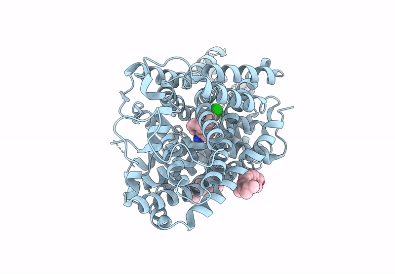 9J6R image