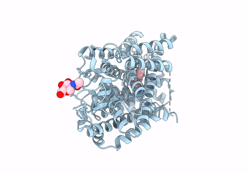 9J6T image