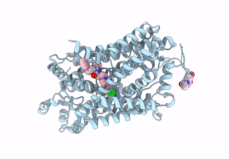 9J6V image
