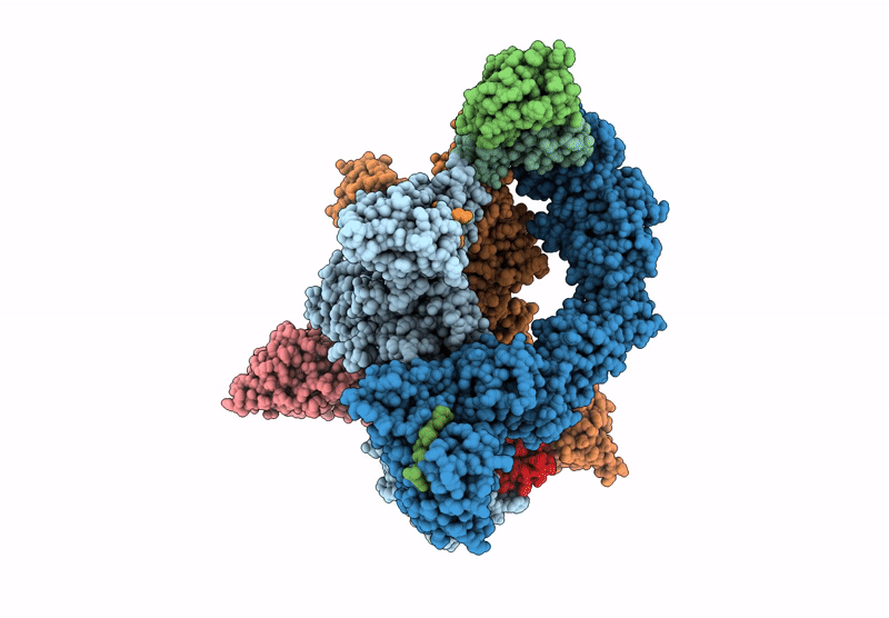 9J78 image
