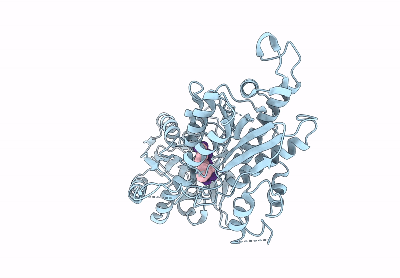 9J7I image