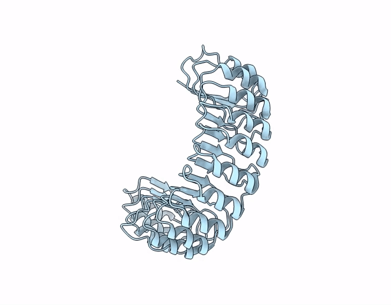 9J7J image