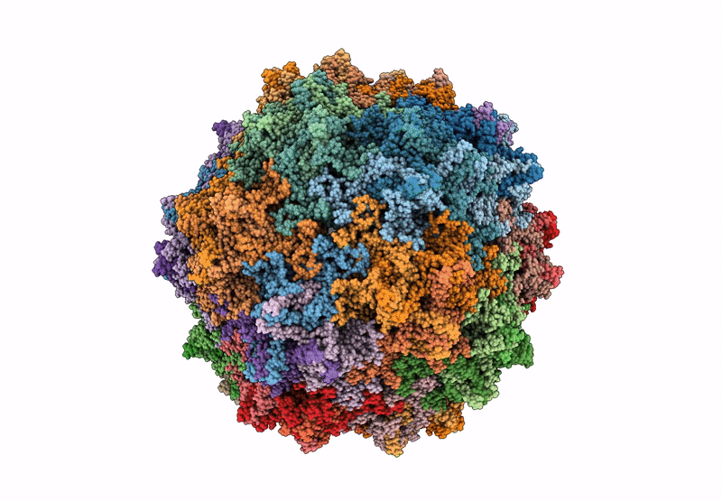 9J7K image