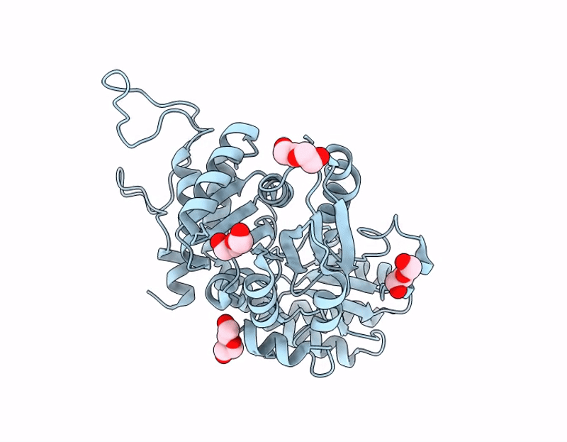 9J7Q image