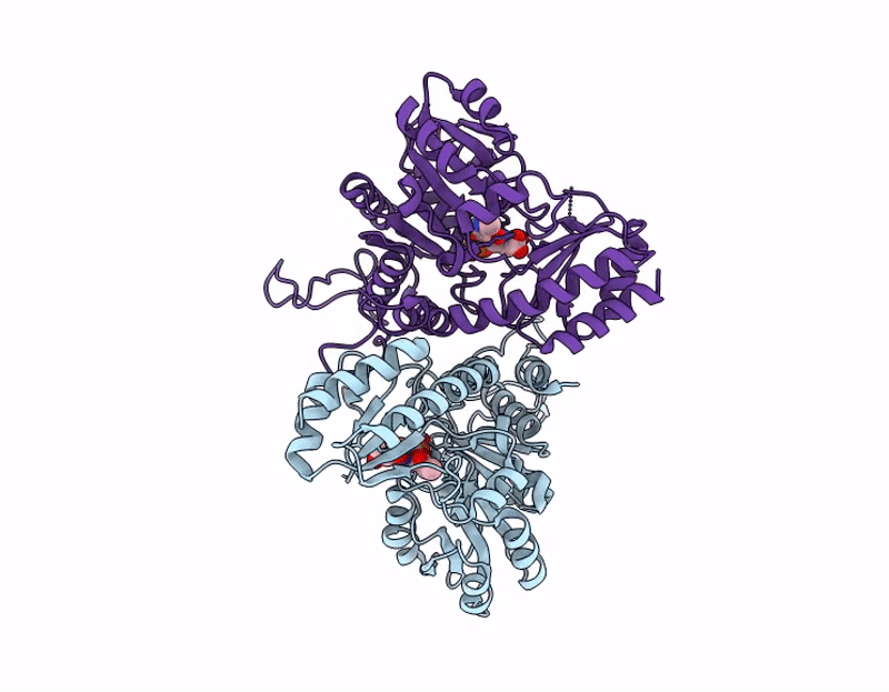 9J7R image