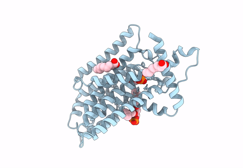 9J7U image