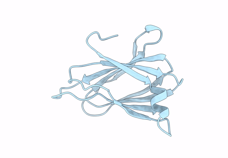 9J7X image