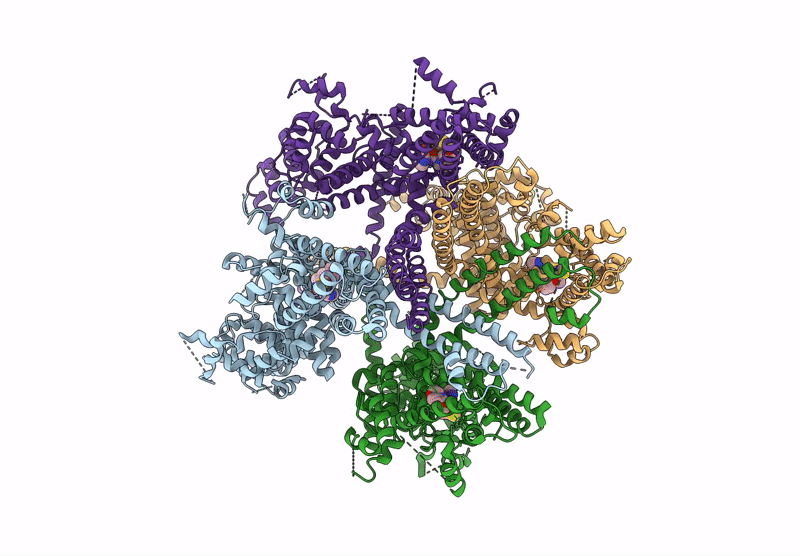 9J84 image