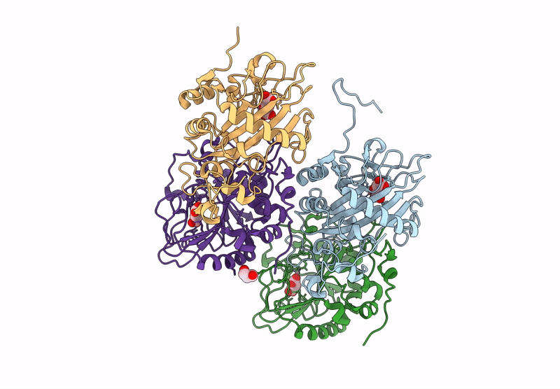 9J85 image