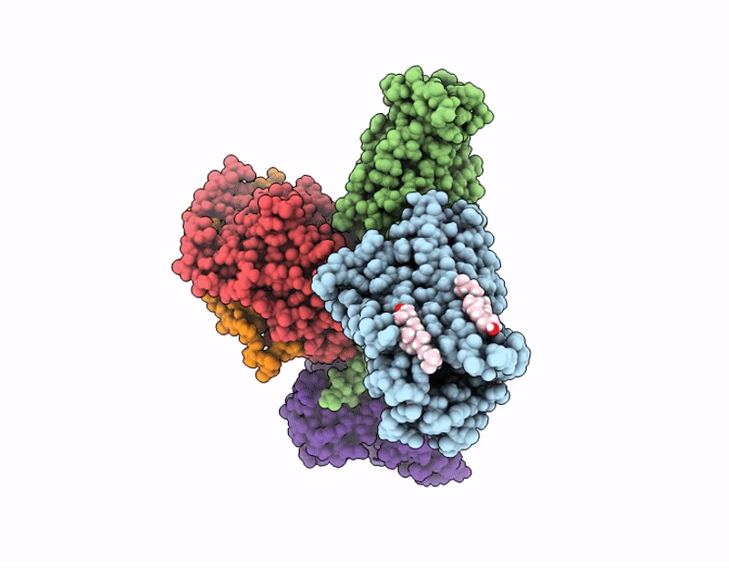 9J87 image