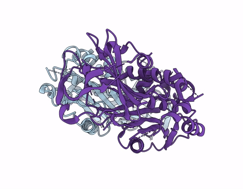 9J88 image