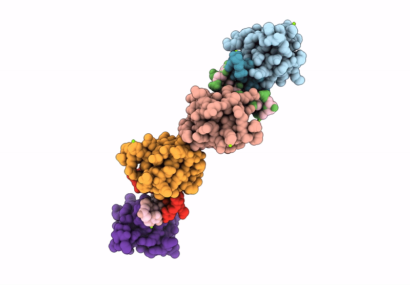 9J89 image