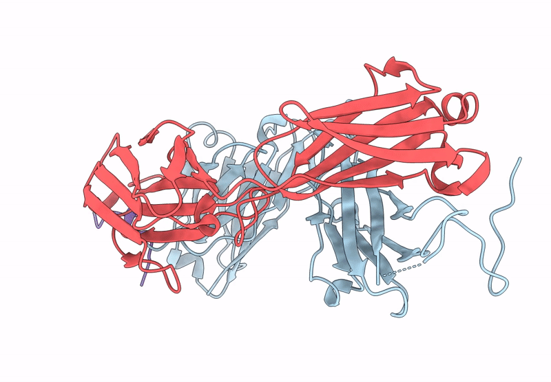 9J8A image