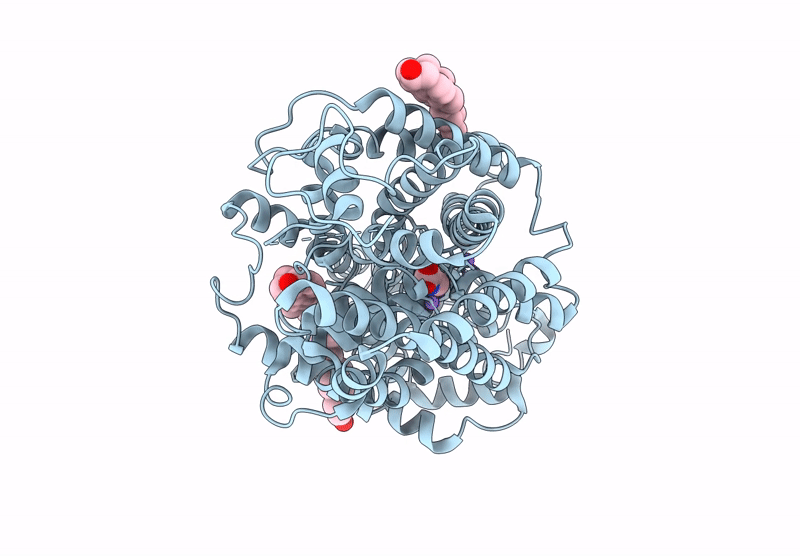 9J8C image