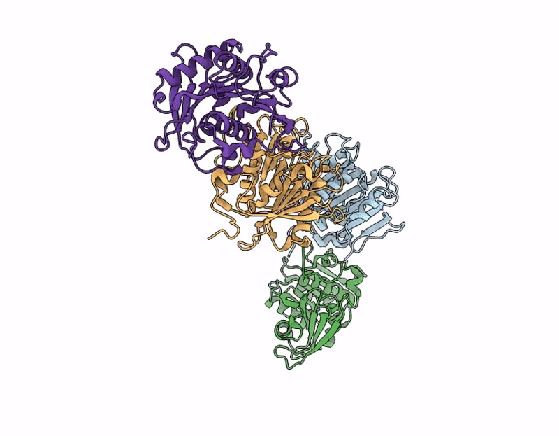 9J8I image