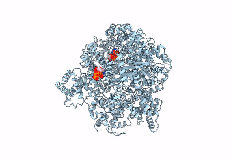 9J8V image