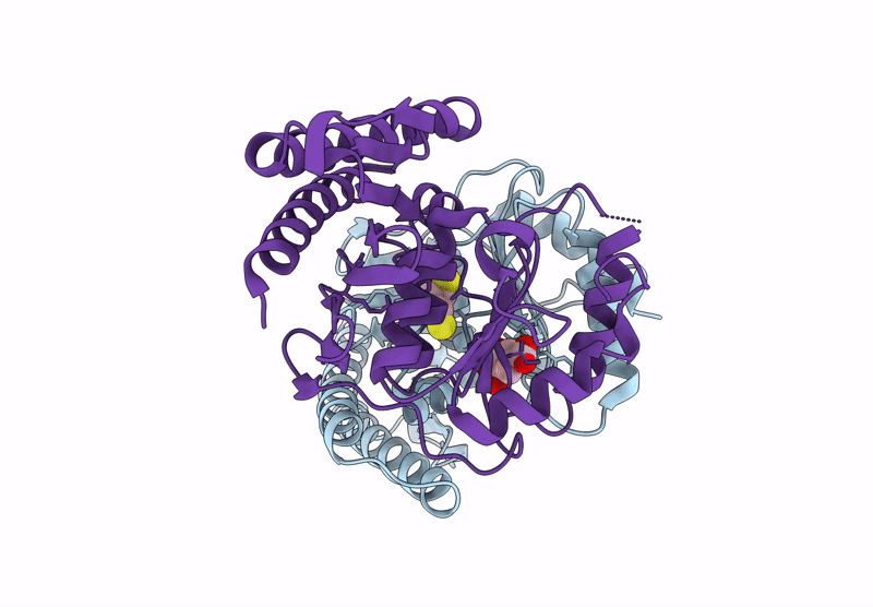 9J90 image