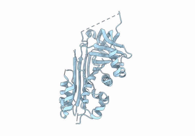 9J91 image