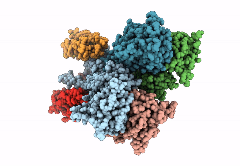 9J92 image