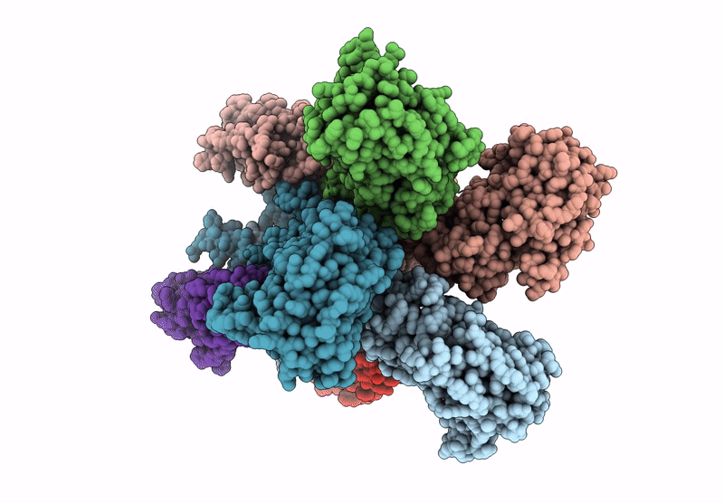 9J95 image