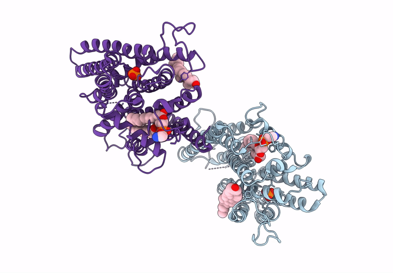 9J97 image