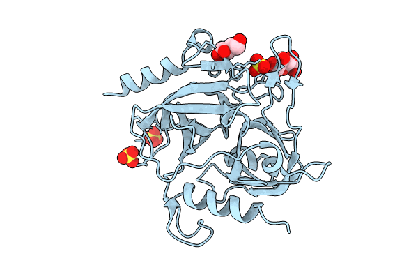 9J9A image