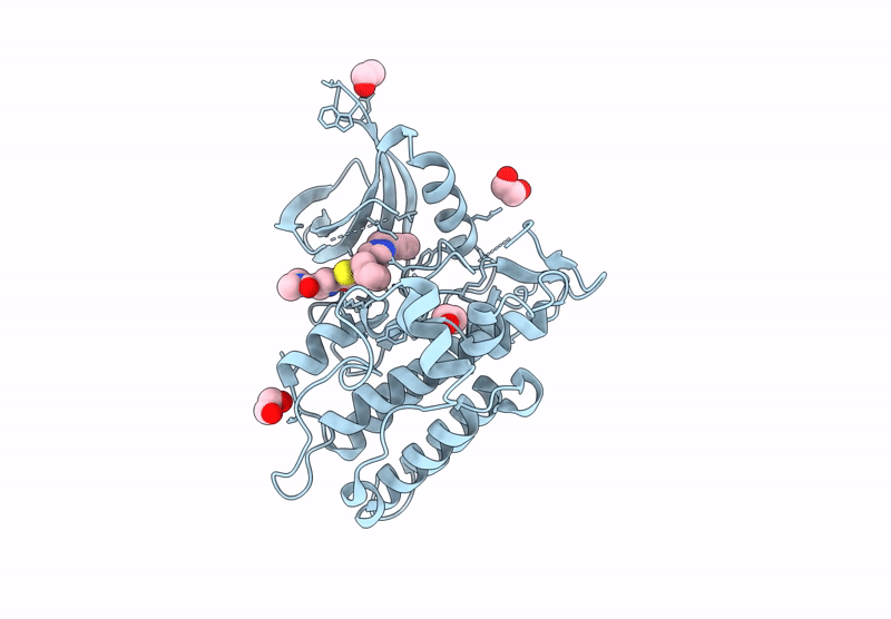 9J9D image